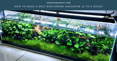 Is it possible to have a self sustaining aquarium