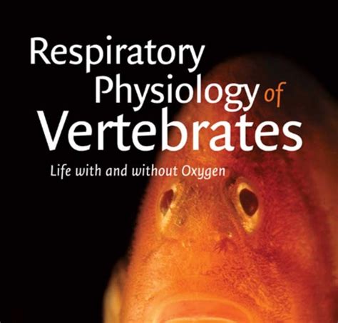 Is life possible without oxygen