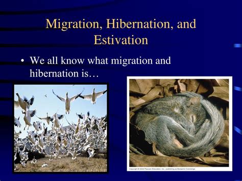 Is migration a learned behavior