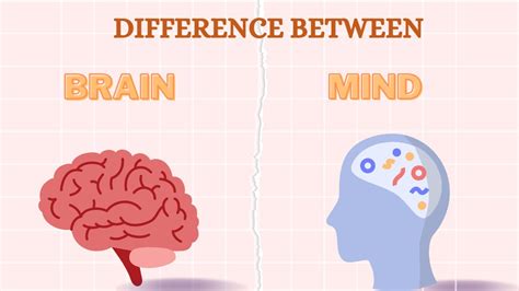 Is the brain separate from the mind