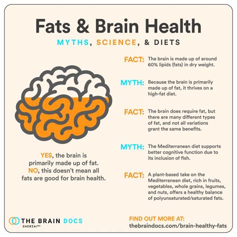 Is there fat in your brain