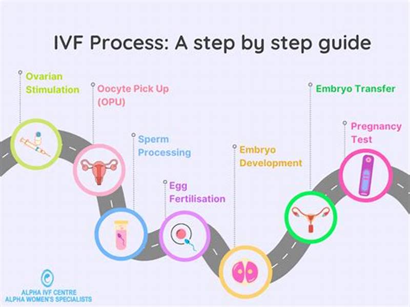 Ivf Process Step By Step Calendar