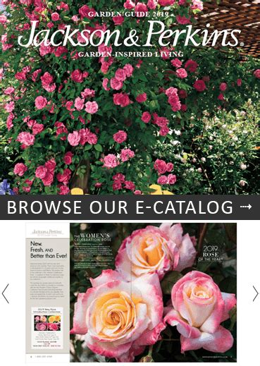 Jackson & Perkins Catalog Request
