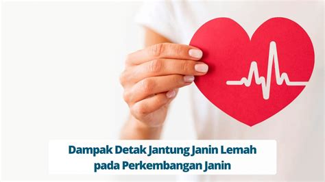 Jantung Janin
