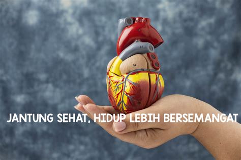 Jantung sehat
