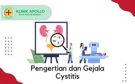 Jenis Cystitis