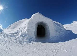 Jenis Jenis Igloo