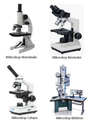 Jenis-Jenis Mikroskop