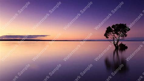 Jenis-Jenis Watermark