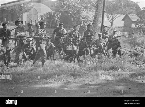 Komposisi dan Anggota KNIL