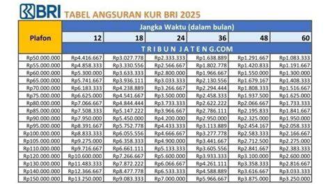 KUR BRI 2025: Info Update! Plafon 20 Juta++, Cicilan Mulai 1,7 Jutaan!