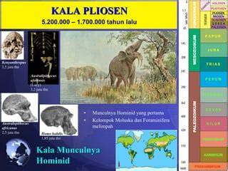 Kala Pliosen