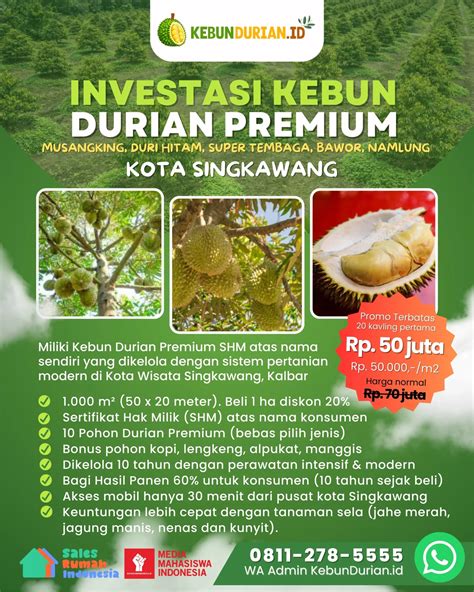 Kebun