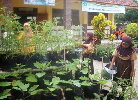 Kebun Sekolah