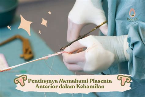 Kehamilan