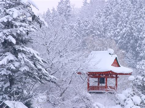 Keindahan musim dingin di Jepang