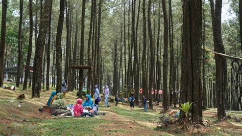 Kembang Langit Park