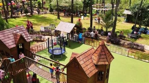 Kemit Forest Cilacap