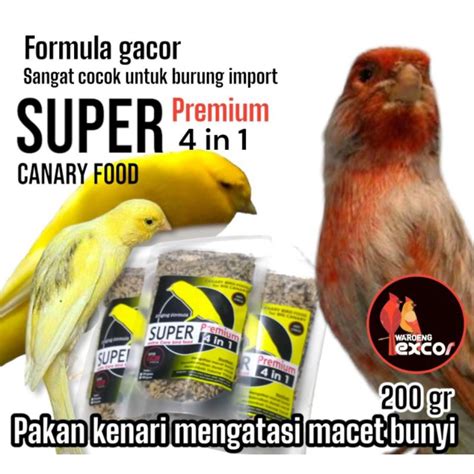 Kenari Macet Bunyi