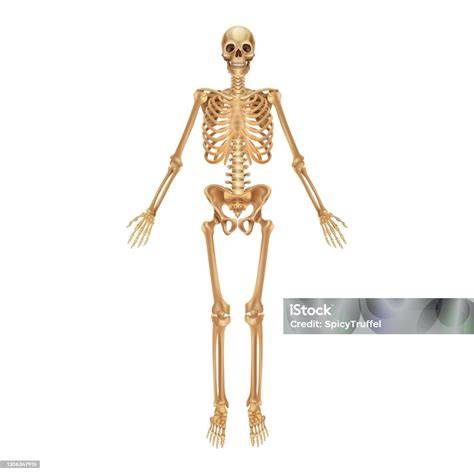 Kerangka
