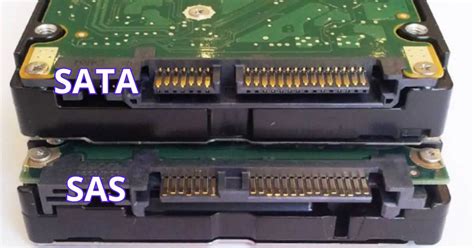 Kesimpulan - SAS vs NLAS