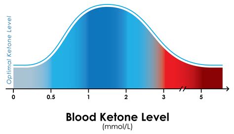 Keto Bm Chart