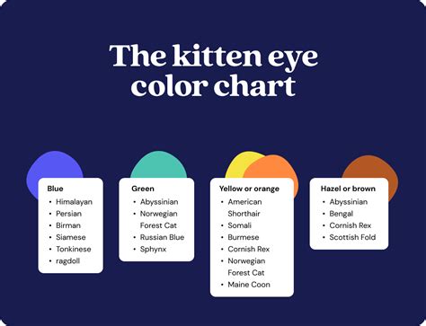 Kitten Eye Color Change Chart