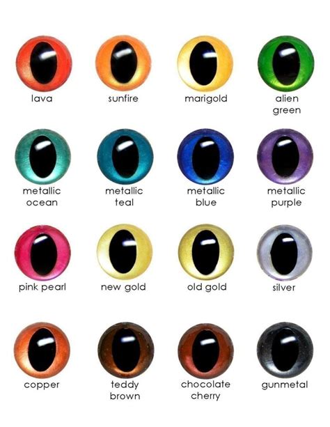 Kitten Eye Color Chart