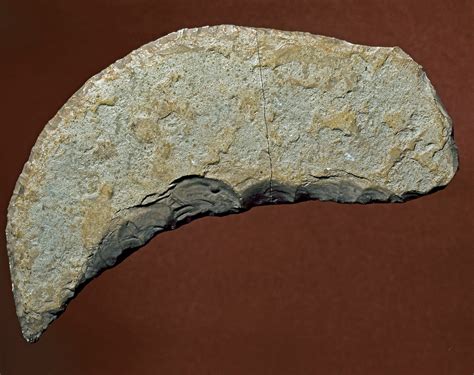Kjokkenmoddinger site