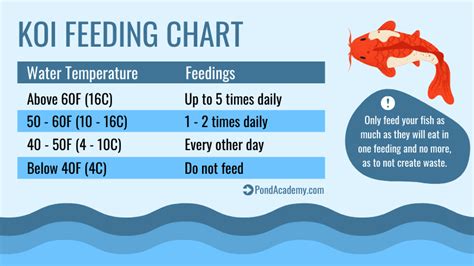 Koi Feeding Temperature Chart