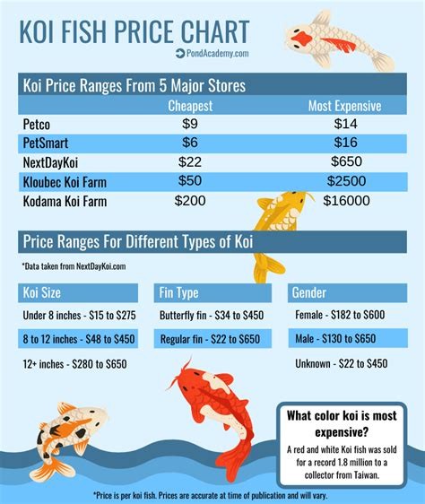 The Average Cost of Koi Fish