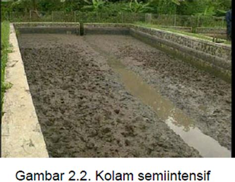 Kolam Semi Intensif