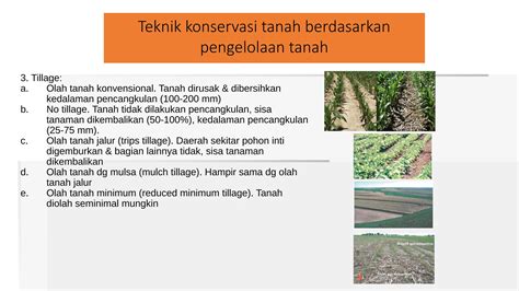 Konservasi Tanah
