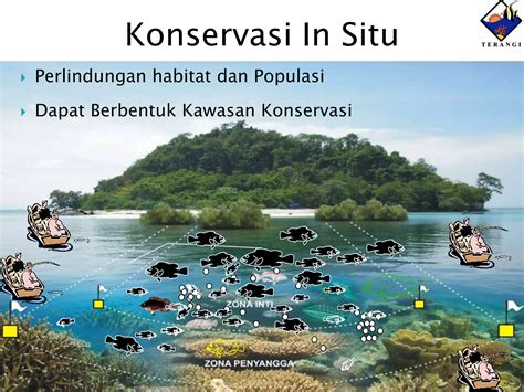Konservasi Tledekan