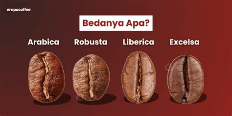 Kopi Arabika