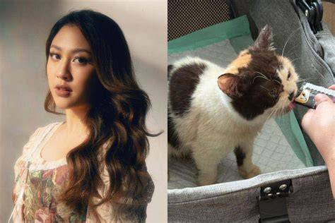 Kucing Diselamatkan Sherina Munaf