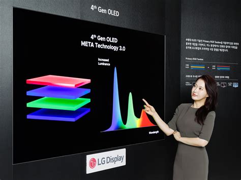 LG Display OLED panel