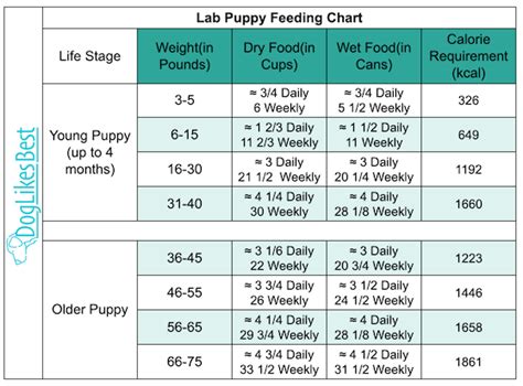 Lab Feeding Chart
