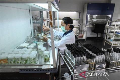 Laboratorium kultur jaringan