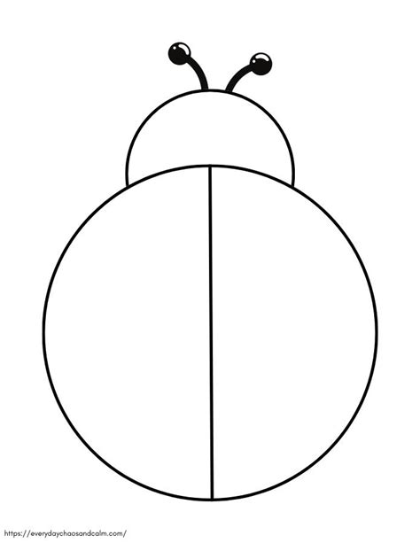 Lady Beetle Template