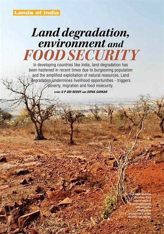 Land Degradation and Food Security