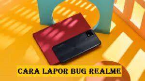 Lapor Bug