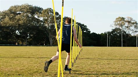 Lari Zig Zag Agility Training