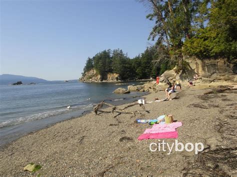 Larrabee State Park Tide Chart