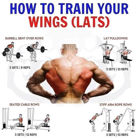 Lats Exercise Chart
