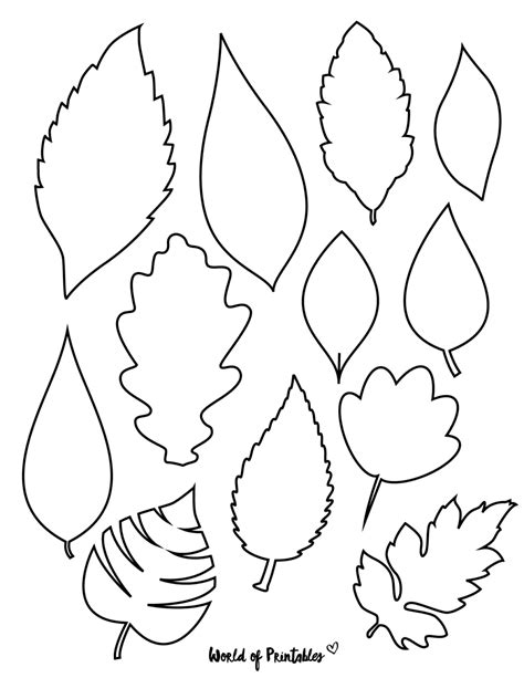 Leaf Cut Out Template