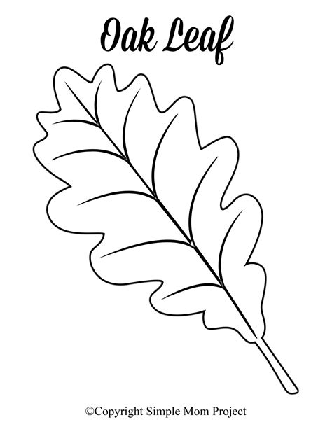 Leaf Printable Free