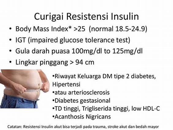 Lemak Perut dan Resistensi Insulin