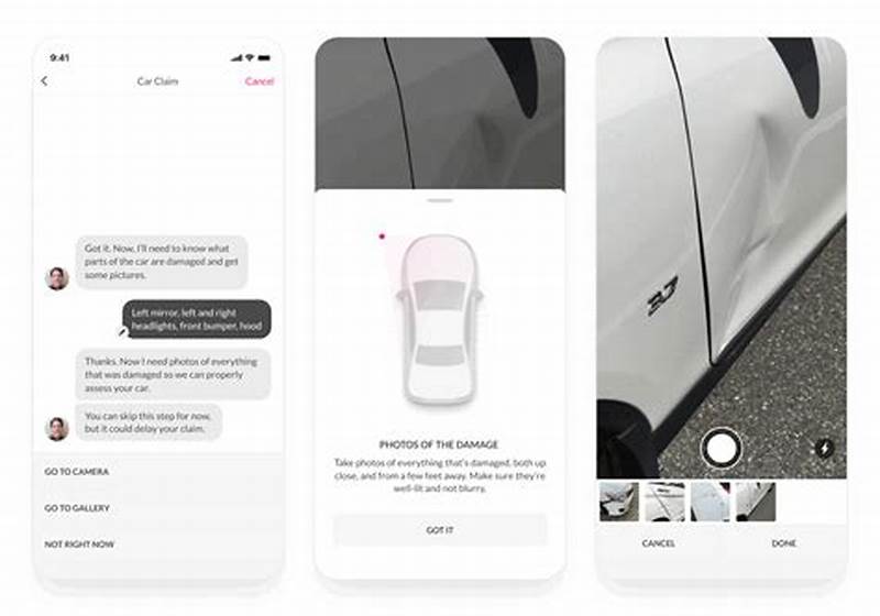 Lemonade How Long To File Claim