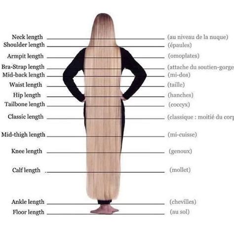 Length Hair Chart